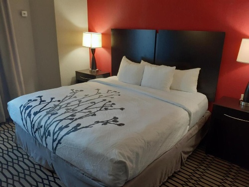 Sleep Inn & Suites BWI Airport image 12